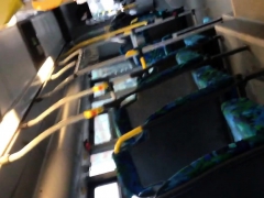 Blinkar P Buss I Sverige 001